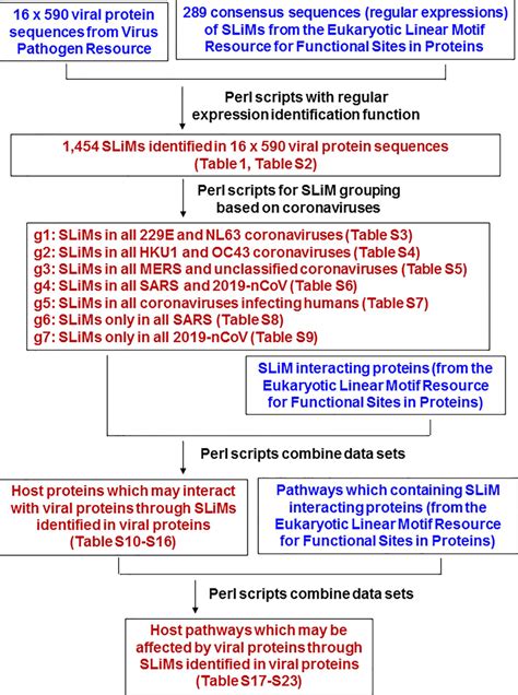 Image result for Data Analysis Procedures