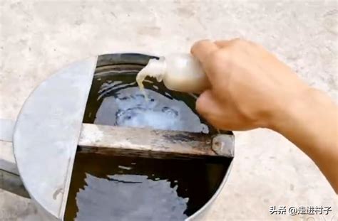 淘米水的2个妙用，15天diy自制有机液肥，方法教给你|Making liquid fertilizer from rice water