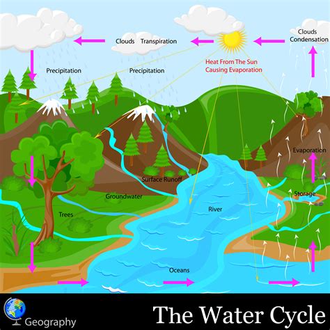 The Water Cycle – Hydrologic Cycle – EKOTG