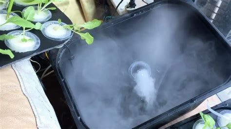 Hydroponic Systems DIY 的图像结果