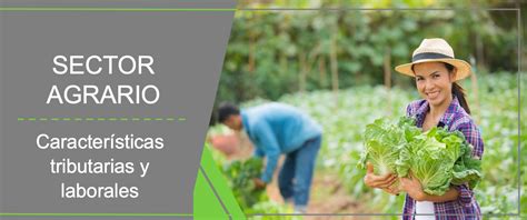 Image result for Development Case Study Examples
