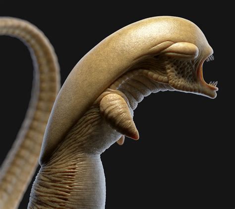 Image result for Alien in Chest