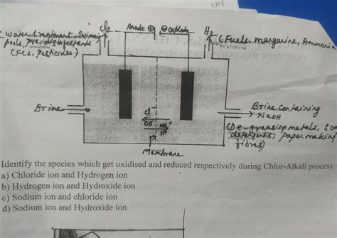 Identify the substance which gets oxidized and reduced in the Chlor ...