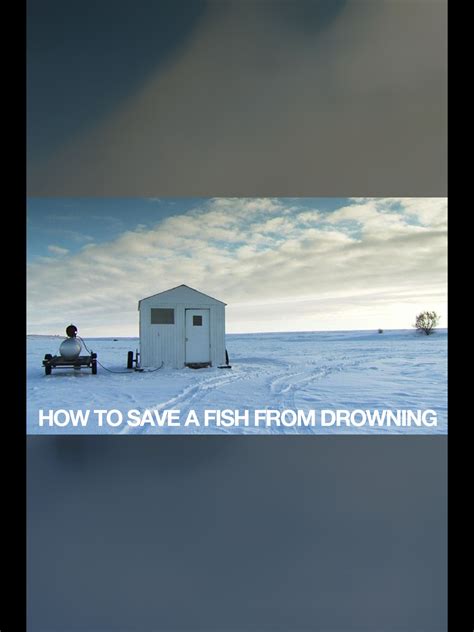 Prime Video: How to Save a Fish from Drowning