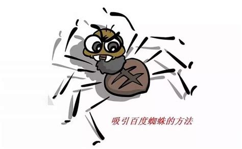 让你网站秒被蜘蛛抓取的seo大招 | 台州芽尖科技信息科技有限公司