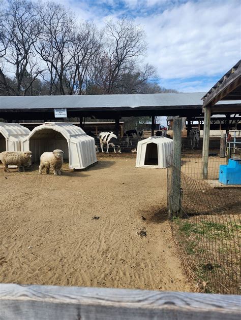 Into the Wild: Unforgettable 12 Camping Experiences in Carlisle, MA ...