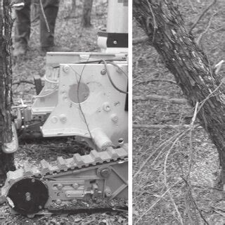 Image result for RC Tree Cutters