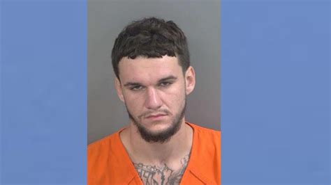 Two arrested after standoff with Collier County deputies