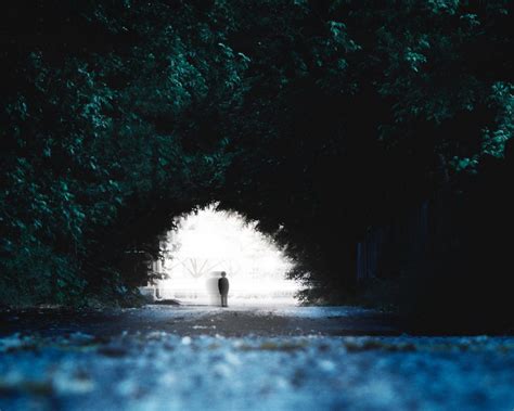 Download wallpaper 1280x1024 silhouette, child, trees, blur standard 5: ...