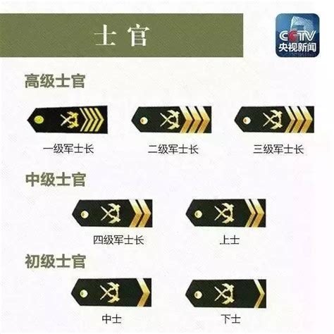 空军军衔等级肩章排列图片（人民解放军陆军海军空军各兵种肩章一览） | 壹视点