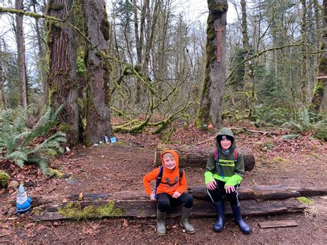 Kid Friendly Hike Near Seattle: Gnome Trail Maple Valley