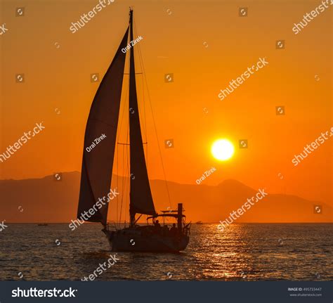 Sea Boat 的图像结果