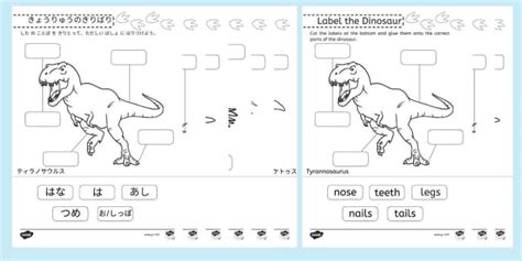 恐竜の体の部分を切り貼りワークで学ぼう 未就学児向け Learn the parts of Dinosaur
