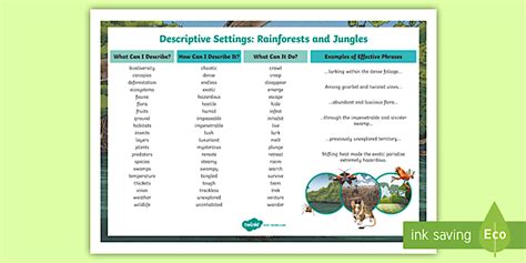 KS2 Rainforest Descriptive Writing Word Mat (teacher made)