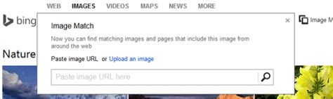 Bing Image Match Search 的图像结果