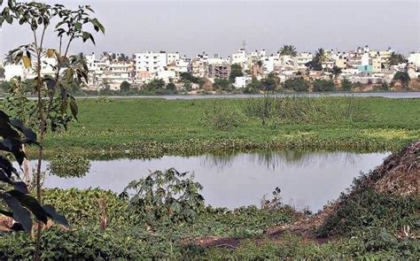 Finally, After Three Years, You Can Now Go Boating In Madiwala Lake ...