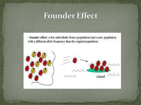 Image result for Genotype Example