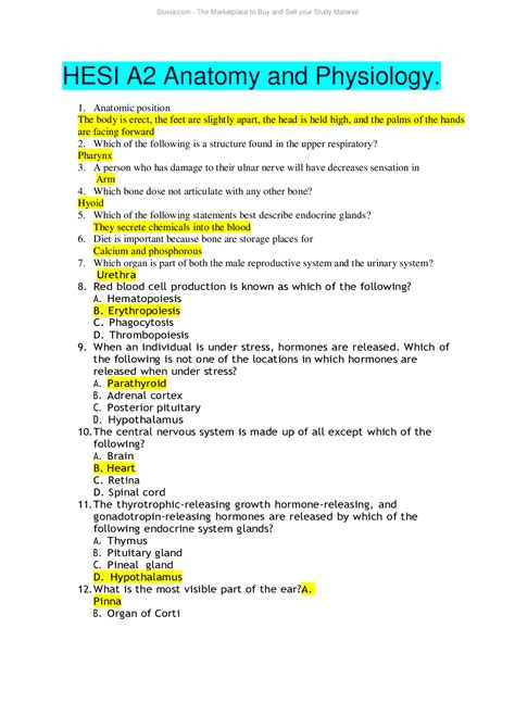 Anatomy Practice Test Hesi at Quentin Davis blog