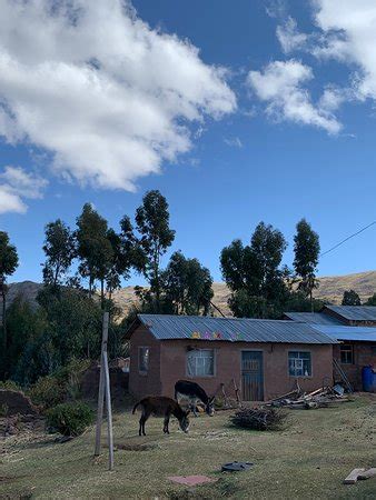 RUPHAQ WASI LODGE - CAPACHICA - LLACHON (Puno) - Specialty Inn Reviews ...