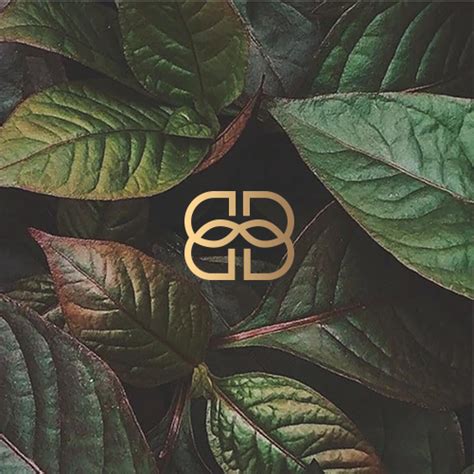 Sustainable Design Logo 的图像结果