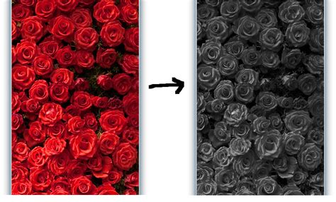 Image result for GLSL Examples