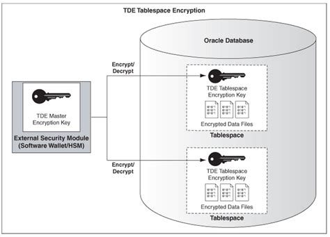 Oracle Encryption Tutorial 的图像结果