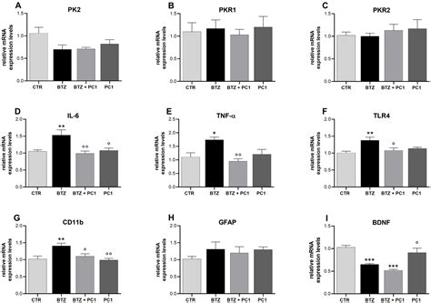 The Antagonism of the Prokineticin System Counteracts Bortezomib ...
