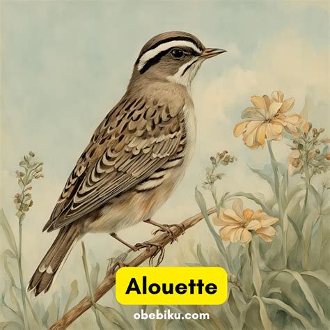 Alouette Lyrics - Obebiku
