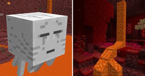Image result for Nether Grounds