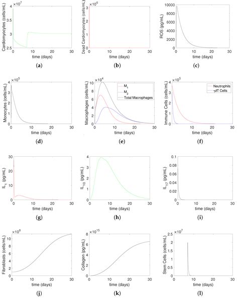 A Mathematical Exploration of the Effects of Ischemia-Reperfusion ...