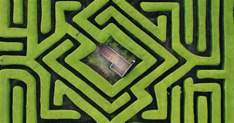 Fun and Kid-Friendly Activities: Exploring Hedge Mazes and More ...