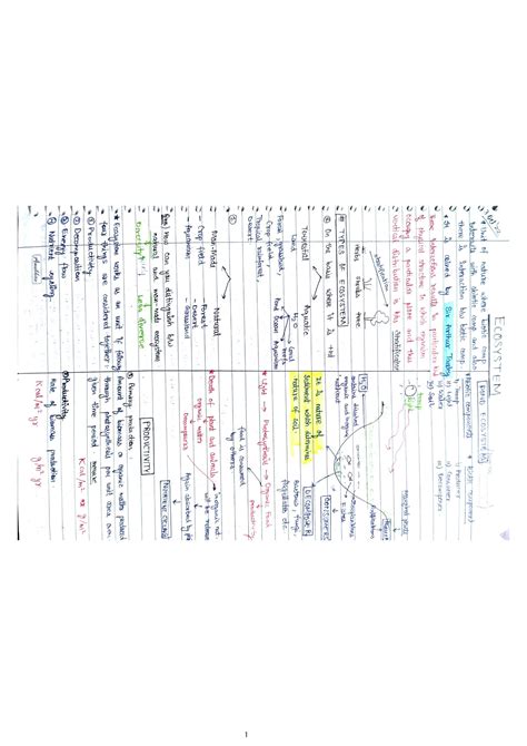 Image result for Ecosystem Structure and Function 12 NCERT