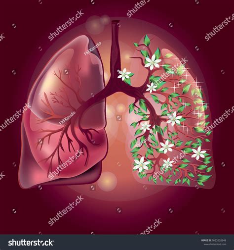 Lungs Art Drawing