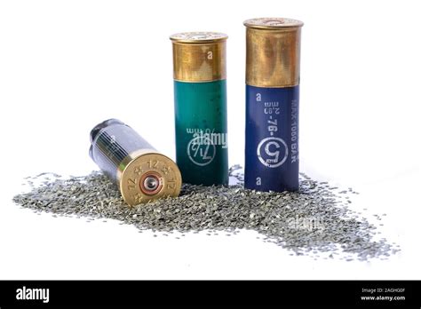 Image result for Shot Shells Bullets