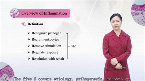医学 的图像结果