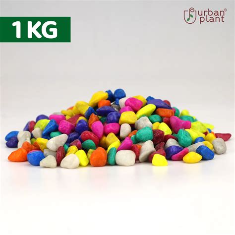 Urban Plant Colourful Decorative Pebbles for Pot - 1kg