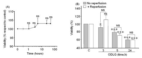 Antioxidant and Protective Mechanisms against Hypoxia and Hypoglycaemia ...