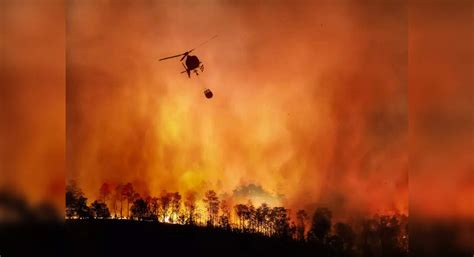 California authorities close national forests due to the spread of ...