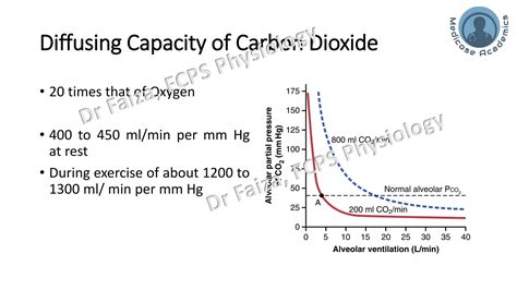 Image result for Diffusing Capacity of Respiratory Membrane
