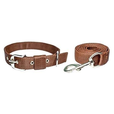Buy Senapati Dog Neck Collar Belts and Leash Set (Red Color, Waterproof ...