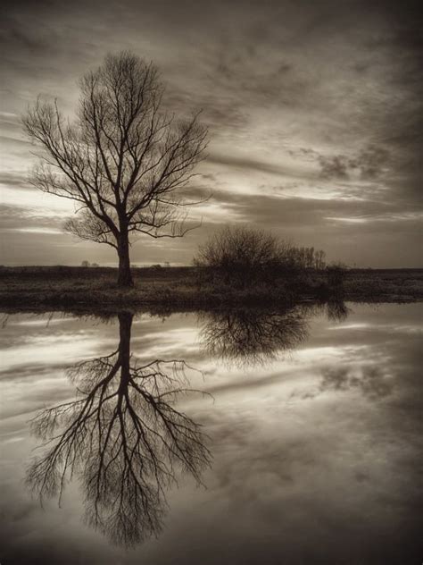 Image result for Example of Things That Reflect