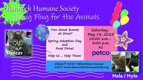 Spring Fling for the Animals, Petco (Chubbuck), Pocatello, 18 May 2024 ...