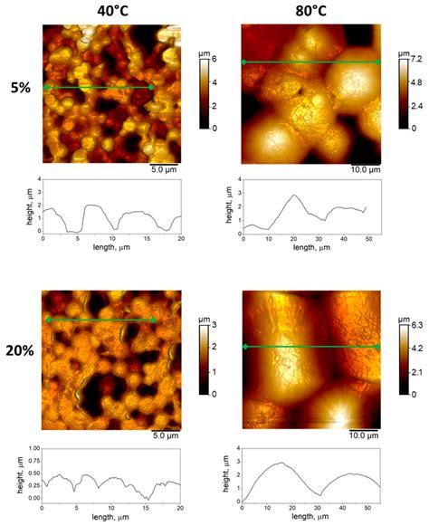 In Vitro Cell Interactions on PVDF Films: Effects of Surface Morphology ...