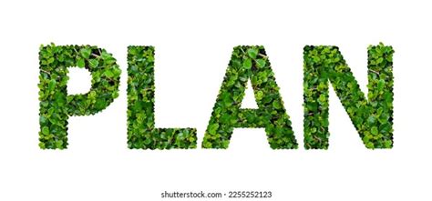 Basic Plan Text/Image PNG 的图像结果