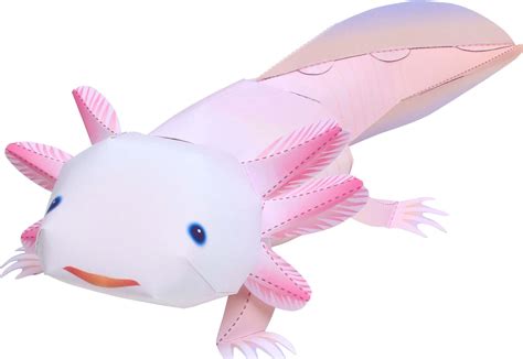 Trabajo Opcional. Ajolote en 3D