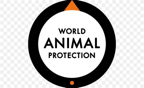 India ranks second in Global Animal Protection Index 2020