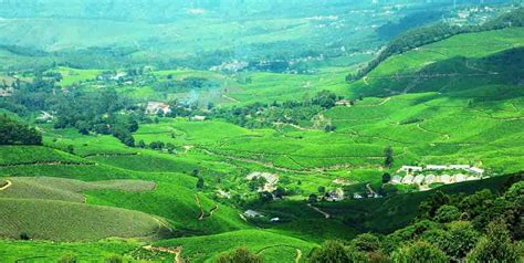 India Trip Package - Munnar Hill Station Tour