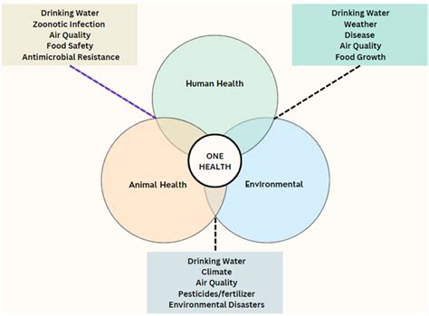 Image result for One Health CDC