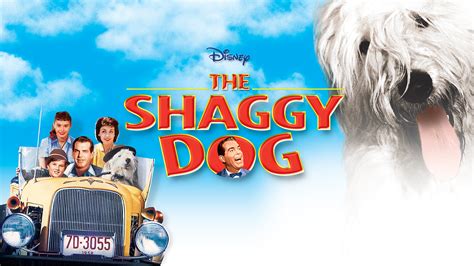 Disney The Shaggy Dog Movie