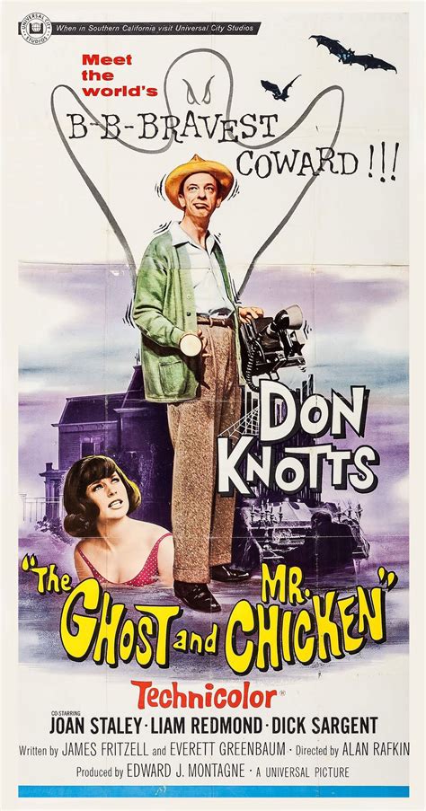 The Ghost and Mr. Chicken (Universal, 1966). | Don knotts movies, Old ...